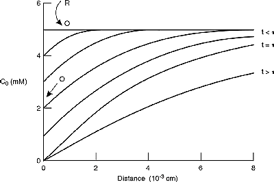 Concentration profiles for chronopotentiometry