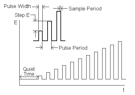 NPV potential wave form